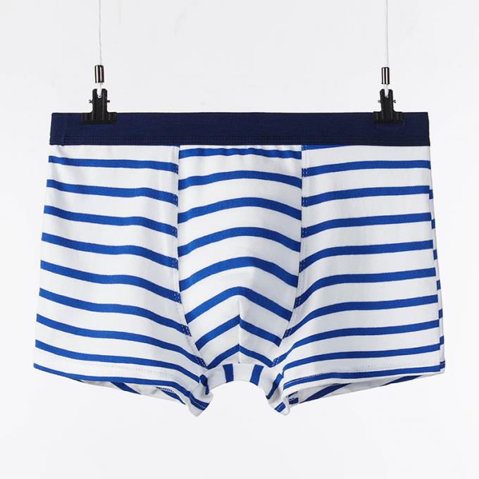 Gli adulti puri sexy dei riassunti del cotone della biancheria intima degli uomini del cotone di XXXL 165kg 95kg barrano gli sport 7