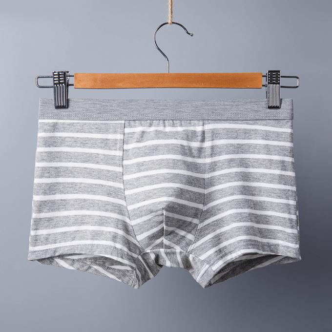 Gli adulti puri sexy dei riassunti del cotone della biancheria intima degli uomini del cotone di XXXL 165kg 95kg barrano gli sport 5