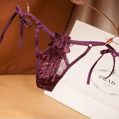 Le mutandine sexy della donna del ricamo delle mutandine della biancheria intima delle signore della tanga della biforcazione