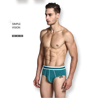 Il pugile sexy degli uomini pettinati mette la biancheria intima in cortocircuito pura del cotone degli uomini verdi del bikini